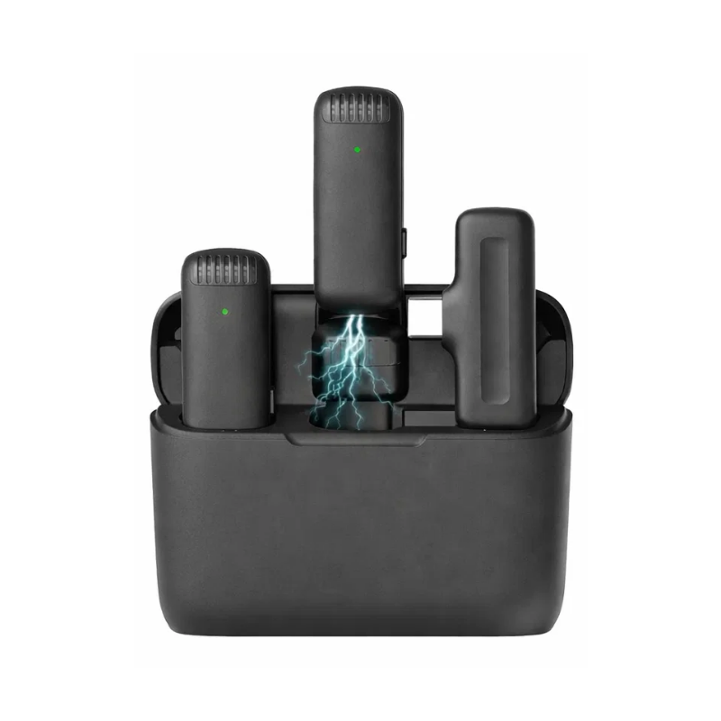 Wireless Microphone with Plug Play (Dual)