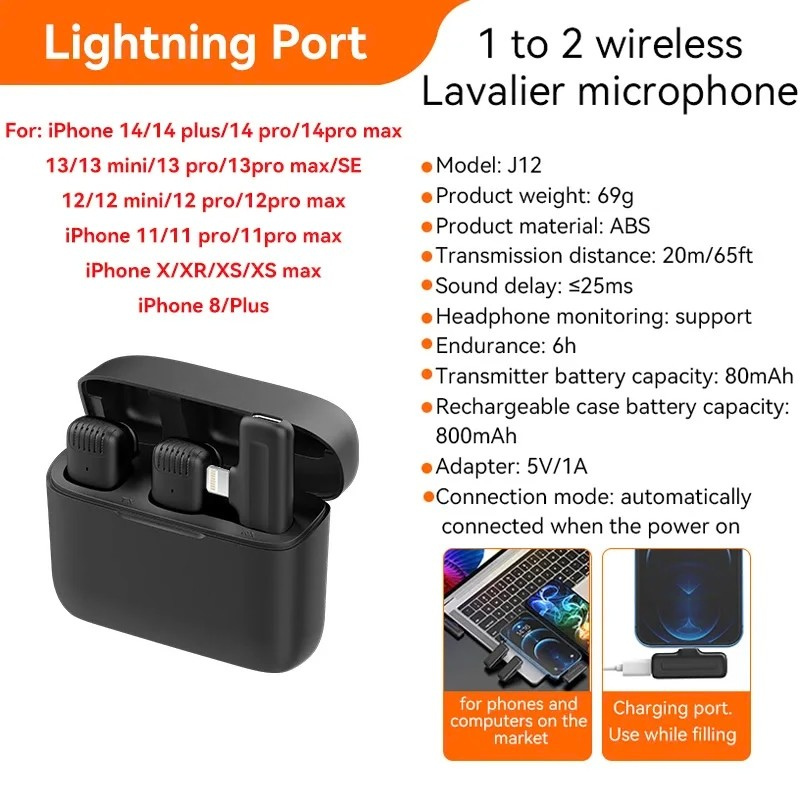 Wireless Microphone with Plug Play (Dual)