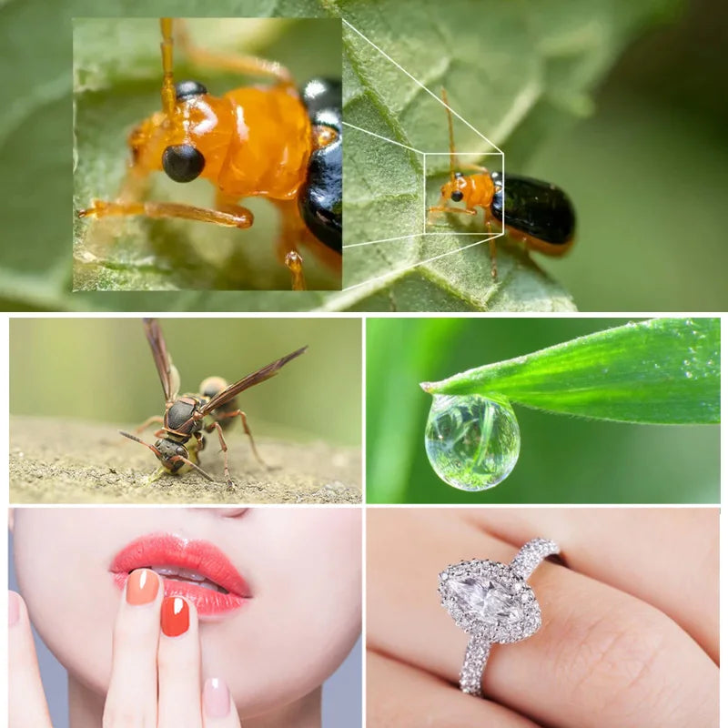 Phone Macro Lens