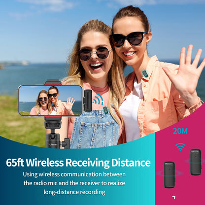 Wireless Microphone with Plug Play (Dual)