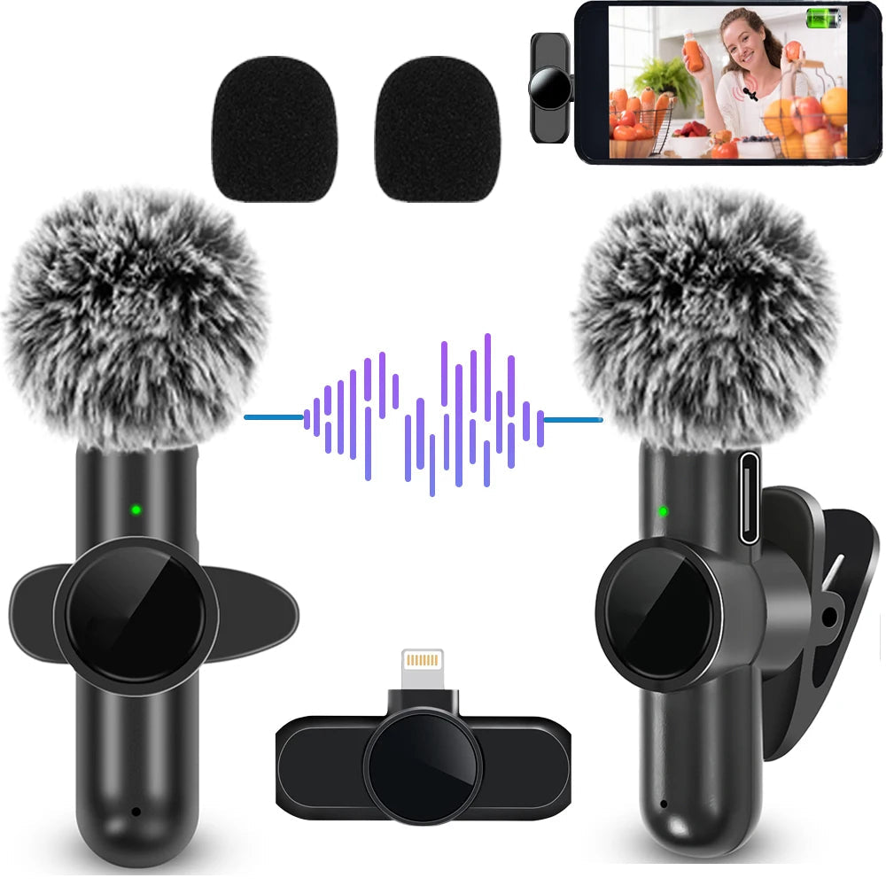 Wireless Microphone with Noise Cancelling